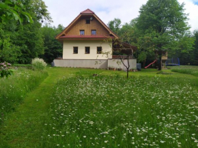 Na paloučku Řepiště